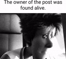 Post Owner GIF