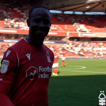 Three Points Win GIF by Nottingham Forest