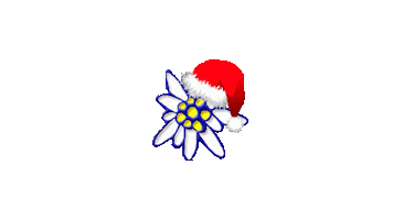 Juniors Flor de Neu Sticker