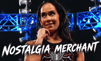 Aj Lee Wwe GIF