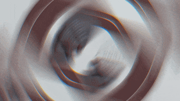 Stunn Collective GIF