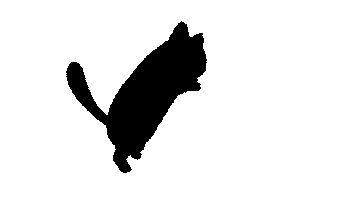 Cat Jump Sticker by antaruxa