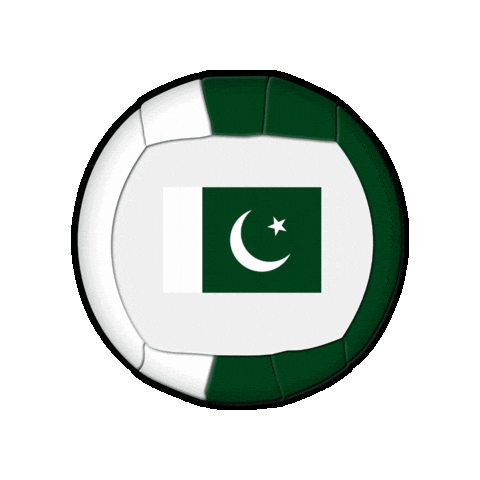 Ball Pakistan Sticker by Swiss Dodgeball