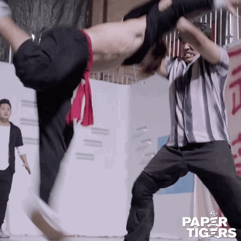 Martial Arts Movie GIF by AMP International