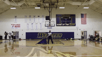 Flag Cheer GIF by Webster University