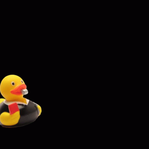 Duckshop GIF