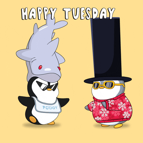 Tuesday Morning Penguin GIF by Pudgy Penguins