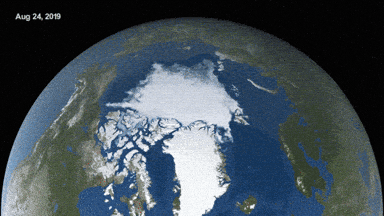 Climate Change GIF by NASA
