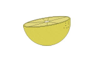 Orange Australia Sticker by CAPI Sparkling