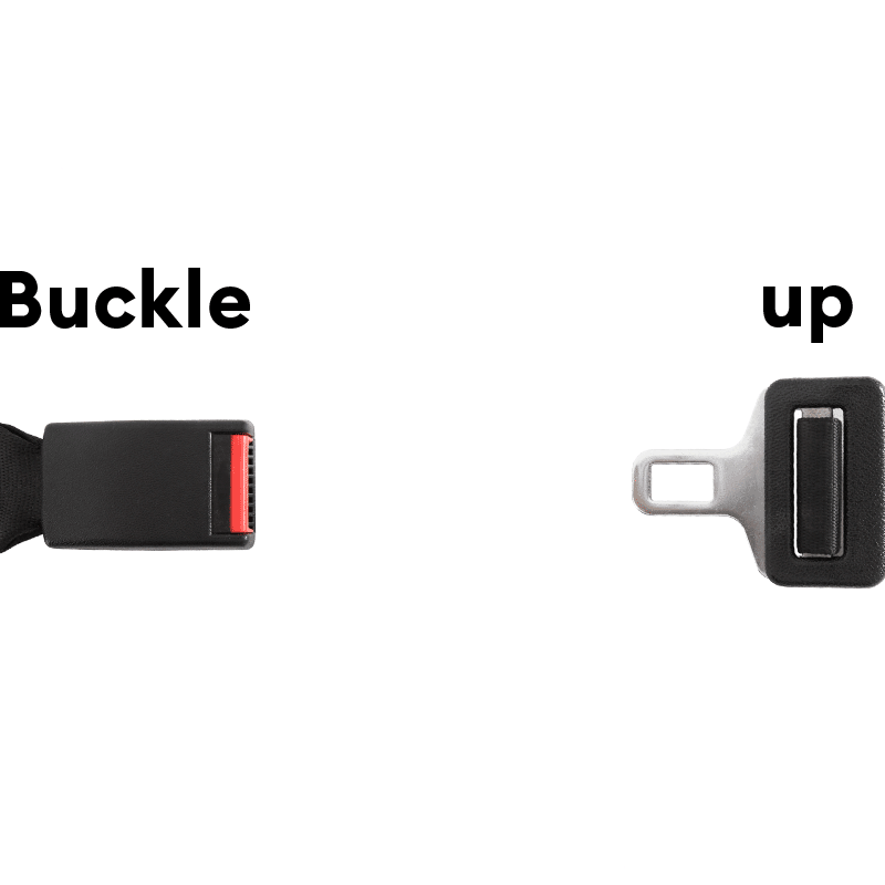 Seatbelt Autoshow Sticker by Onlia for iOS & Android GIPHY