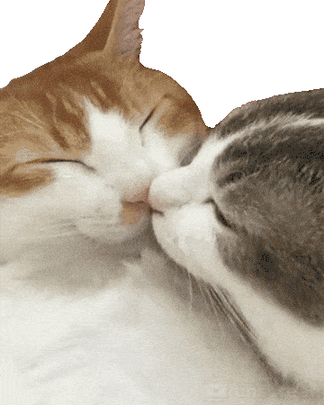 Giphy - Kisses Love GIF by Alissandra