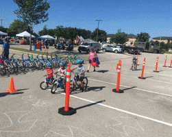 Bikes GIF