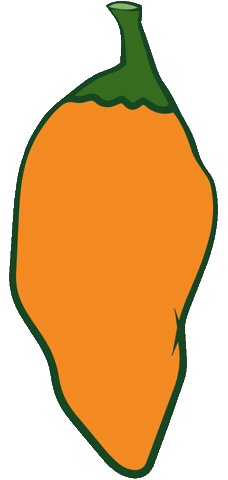 St Augustine Sticker by The Original Florida Brand Hot Sauce