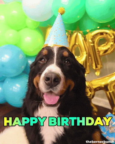 Happy Birthday GIF