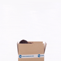 Último post gana, competencia extrema! - Página 3 200.gif?cid=7d74ad2etxradx6qzpq3kp5pbjhd27jjghdwvqq48qul44dw&rid=200