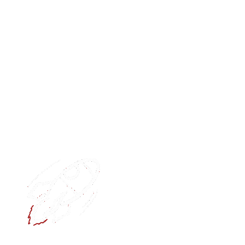 Nft Rocket Sticker