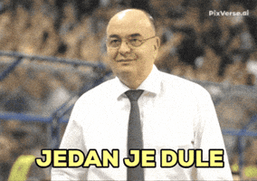 Serbia Partizan GIF