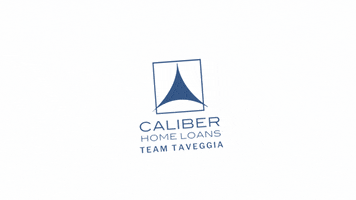 Caliber Team Taveggia GIF