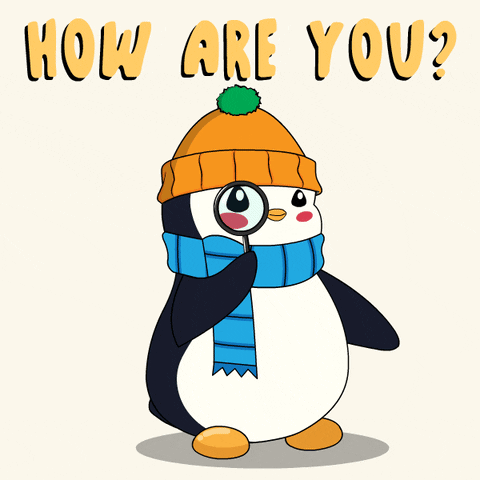 How Are You Doing Whats Up GIF by Pudgy Penguins