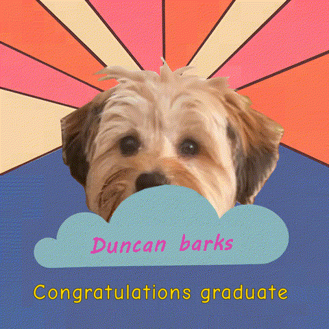 Graduate GIF