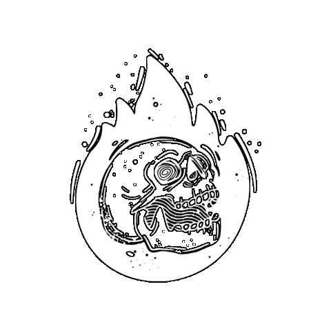 Fire Sticker