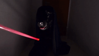 The Story of Dog Vader