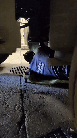 GIF by Pekant