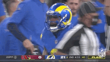 Nfl Playoffs Football GIF by NFL