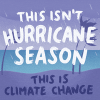 Climate Change Weather GIF by INTO ACTION