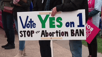 Ohio Abortion Rights GIF by GIPHY News