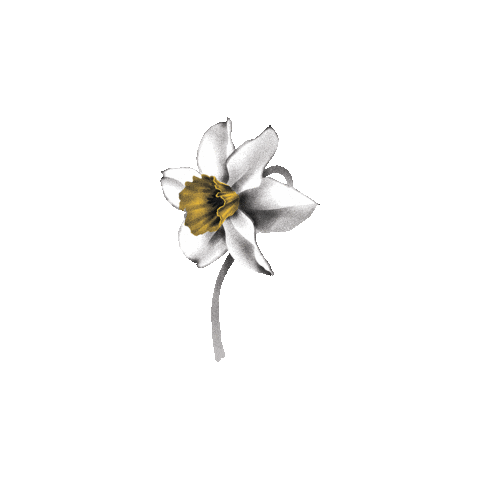 Magazin Sticker by Amazing Places