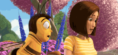 Bee-movie GIFs - Get the best GIF on GIPHY