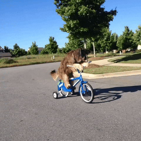 bikes walks GIF