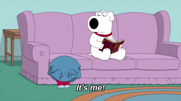 Family Guy Hello GIF by AniDom