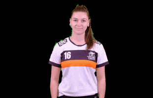 PragueTigers GIF