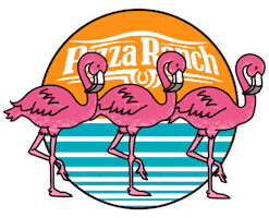 Sticker Sunset Sticker by Pizza Ranch