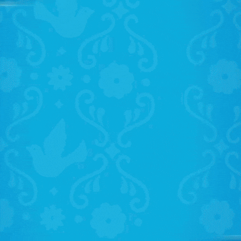 Trendviagens GIF by CVC Viagens