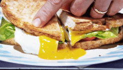 giphy.gif?cid=3640f6095bb71eb9314c366736