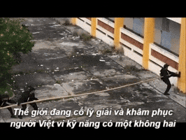 vugiang-b42a  GIF