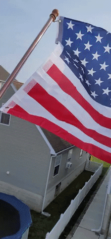 Happy Fourth Of July GIF by No Cheese Records