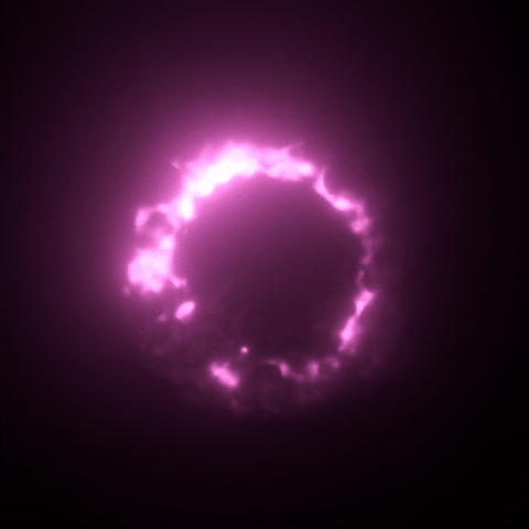 Pink Loop GIF by xponentialdesign