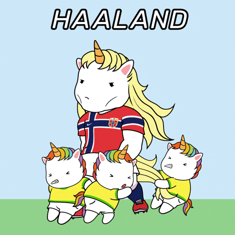 World Cup Football GIF by Chubbicorns