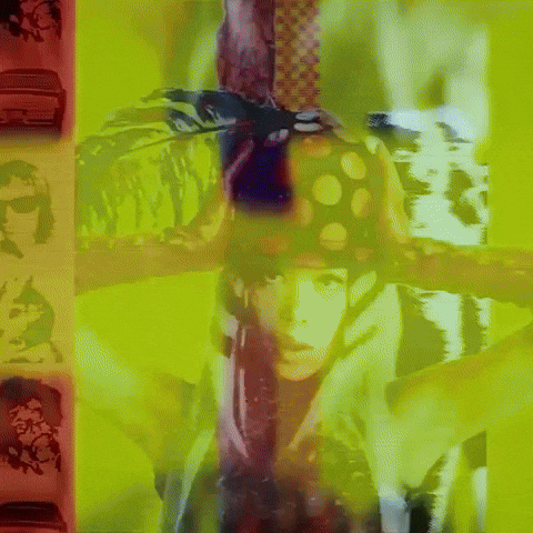 Liveyourlife GIF