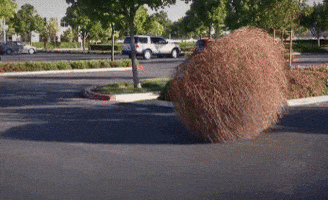 Tumble Weed GIFs - Find & Share on GIPHY