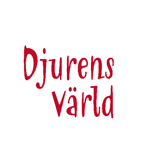 Christmas Santa Sticker by Djurens Värld Halmstad