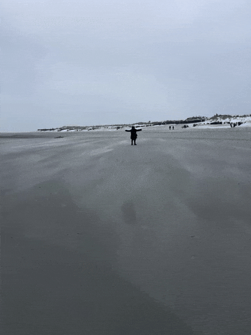 Sturm Northsea GIF