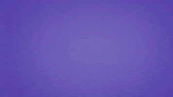 Motion Graphics GIF