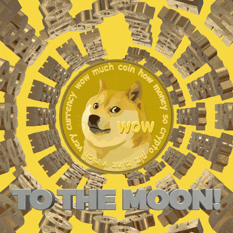 Dogecoin GIF by haydiroket thumbnail