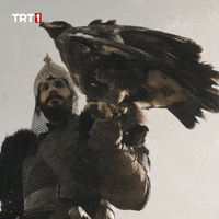 Fight Reaction GIF by TRT