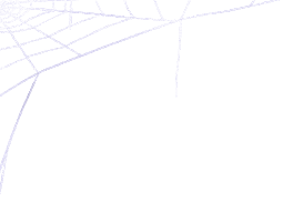 Halloween Spider Sticker